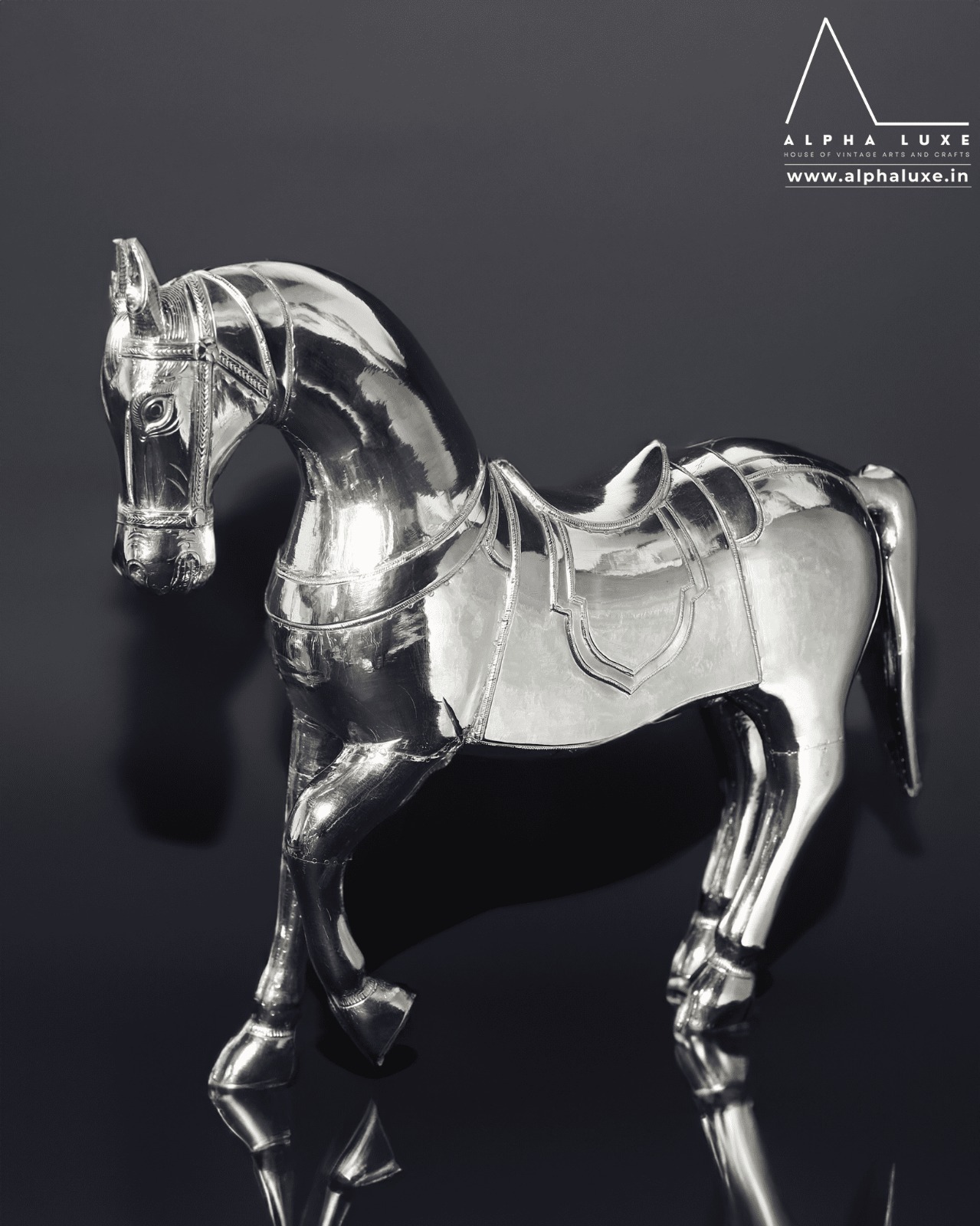 WhatsApp Image 2023-10-21 at 11.50.00 AM (6).jpeg